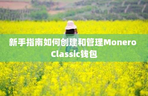 新手指南如何创建和管理Monero Classic钱包