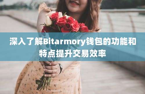 深入了解Bitarmory钱包的功能和特点提升交易效率