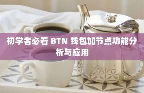 初学者必看 BTN 钱包加节点功能分析与应用