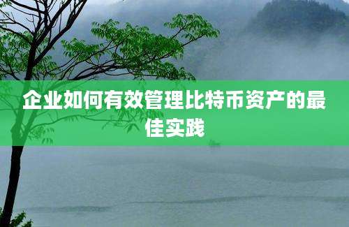 企业如何有效管理比特币资产的最佳实践