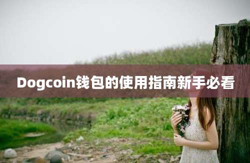 Dogcoin钱包的使用指南新手必看