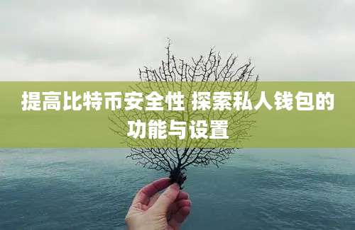 提高比特币安全性 探索私人钱包的功能与设置