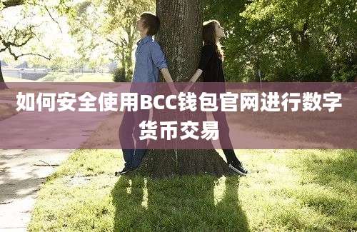 如何安全使用BCC钱包官网进行数字货币交易