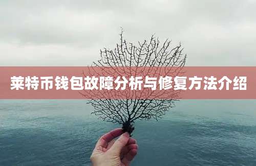 莱特币钱包故障分析与修复方法介绍