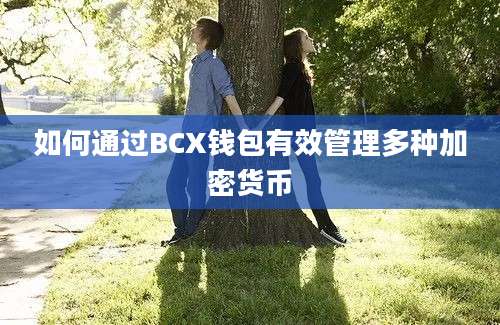 如何通过BCX钱包有效管理多种加密货币