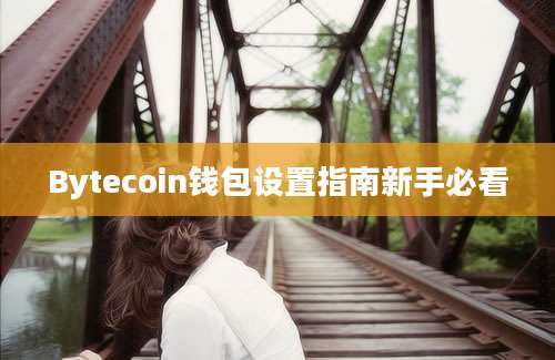 Bytecoin钱包设置指南新手必看