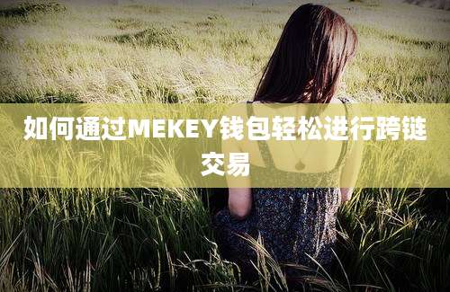 如何通过MEKEY钱包轻松进行跨链交易