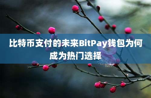 比特币支付的未来BitPay钱包为何成为热门选择