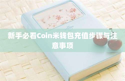 新手必看Coin米钱包充值步骤与注意事项