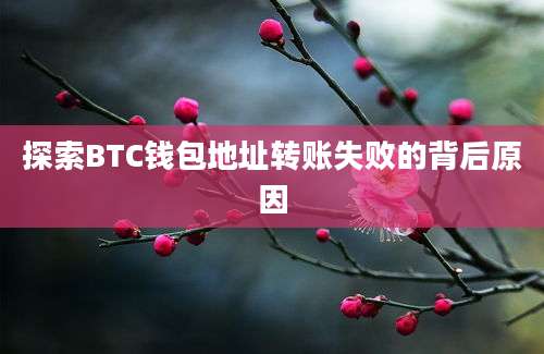 探索BTC钱包地址转账失败的背后原因