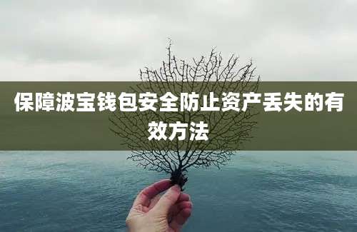 保障波宝钱包安全防止资产丢失的有效方法