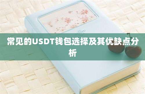 常见的USDT钱包选择及其优缺点分析