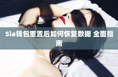 Sia钱包重置后如何恢复数据 全面指南