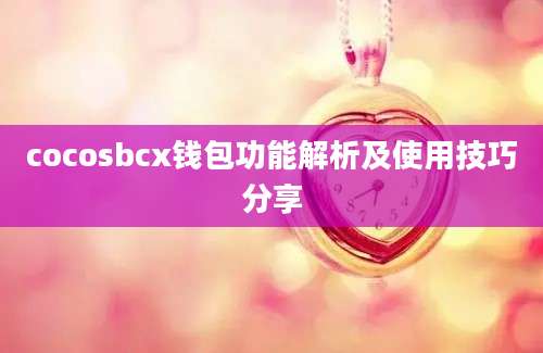 cocosbcx钱包功能解析及使用技巧分享