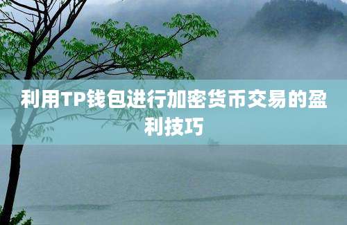 利用TP钱包进行加密货币交易的盈利技巧