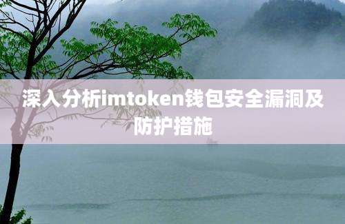 深入分析imtoken钱包安全漏洞及防护措施