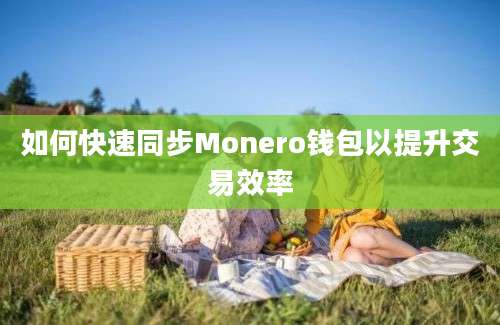 如何快速同步Monero钱包以提升交易效率