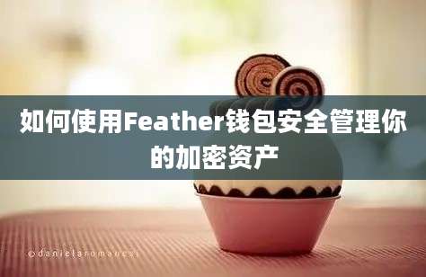 如何使用Feather钱包安全管理你的加密资产