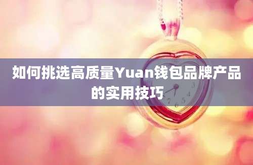 如何挑选高质量Yuan钱包品牌产品的实用技巧