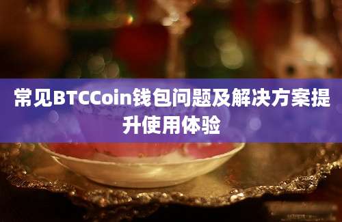 常见BTCCoin钱包问题及解决方案提升使用体验