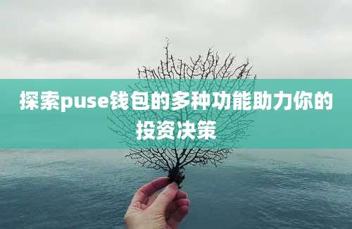 探索puse钱包的多种功能助力你的投资决策