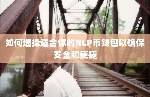 如何选择适合你的NLP币钱包以确保安全和便捷