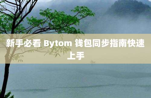 新手必看 Bytom 钱包同步指南快速上手