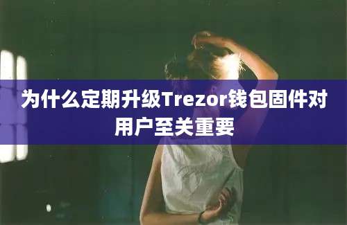 为什么定期升级Trezor钱包固件对用户至关重要