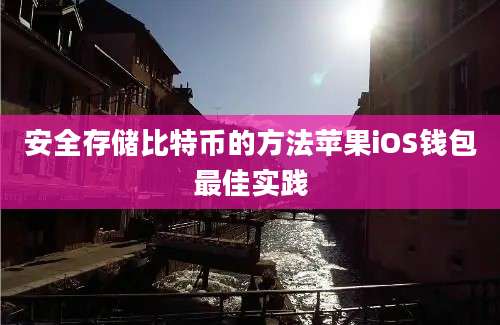 安全存储比特币的方法苹果iOS钱包最佳实践