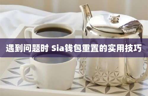 遇到问题时 Sia钱包重置的实用技巧