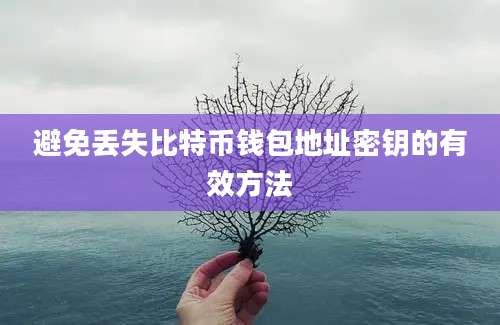 避免丢失比特币钱包地址密钥的有效方法