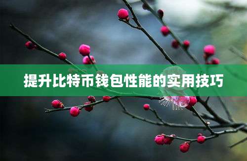 提升比特币钱包性能的实用技巧