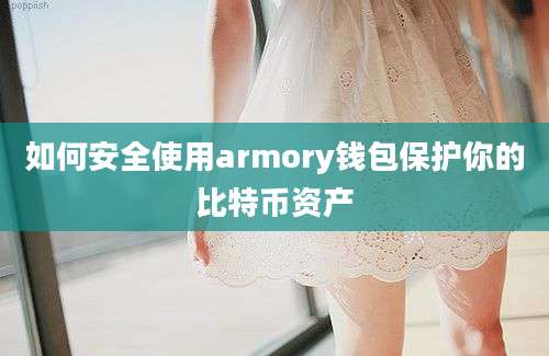 如何安全使用armory钱包保护你的比特币资产