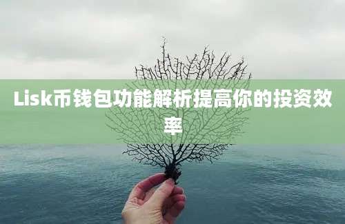 Lisk币钱包功能解析提高你的投资效率