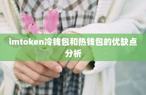 imtoken冷钱包和热钱包的优缺点分析