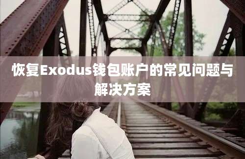 恢复Exodus钱包账户的常见问题与解决方案