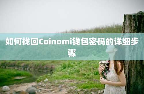 如何找回Coinomi钱包密码的详细步骤