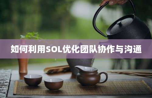 如何利用SOL优化团队协作与沟通