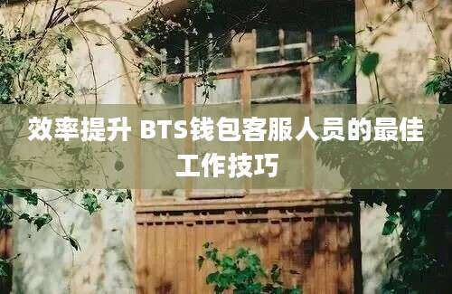 效率提升 BTS钱包客服人员的最佳工作技巧