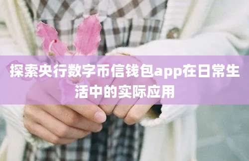 探索央行数字币信钱包app在日常生活中的实际应用