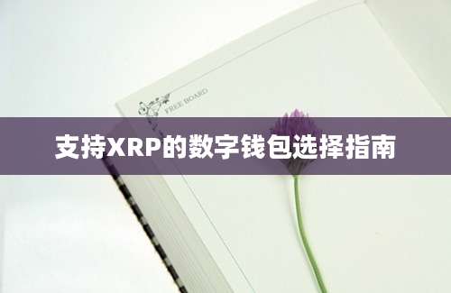 支持XRP的数字钱包选择指南