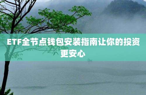 ETF全节点钱包安装指南让你的投资更安心