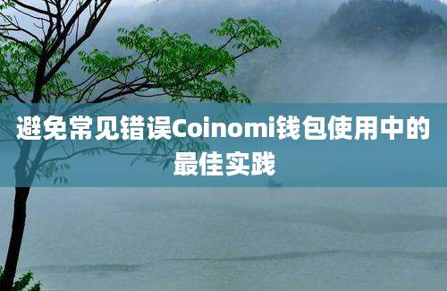 避免常见错误Coinomi钱包使用中的最佳实践