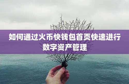 如何通过火币快钱包首页快速进行数字资产管理