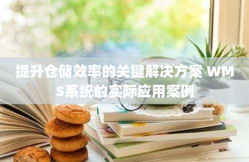 提升仓储效率的关键解决方案 WMS系统的实际应用案例