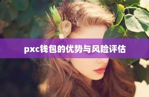 pxc钱包的优势与风险评估