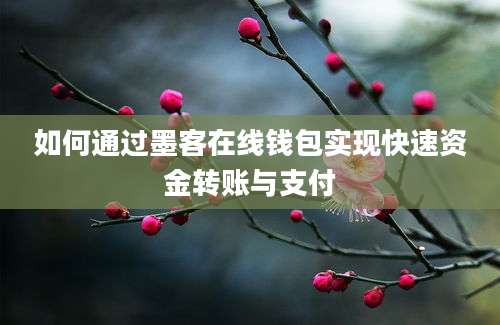 如何通过墨客在线钱包实现快速资金转账与支付