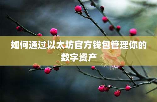 如何通过以太坊官方钱包管理你的数字资产