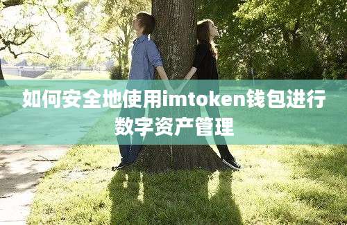 如何安全地使用imtoken钱包进行数字资产管理