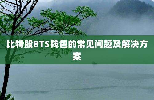 比特股BTS钱包的常见问题及解决方案